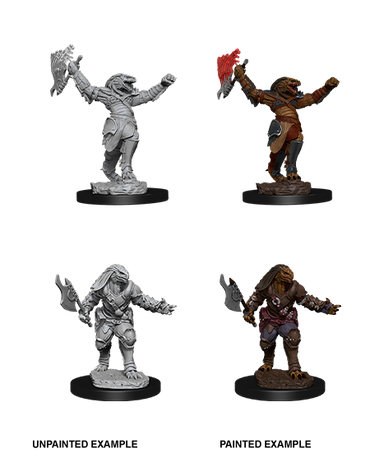 D&D Nolzur's Marvelous Miniatures: Dragonborn Fighter