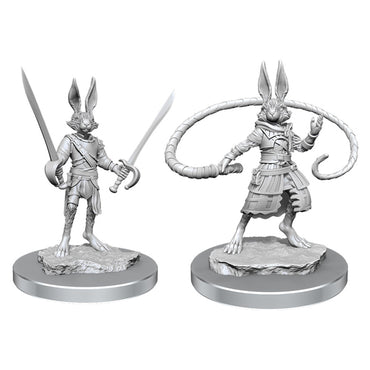 D&D: Harengon Rogues