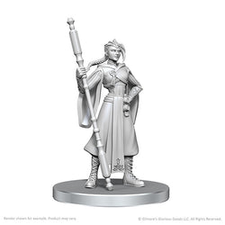 Critical Role Unpainted Miniatures: Wave 26- Beauregard Lionett & Caleb Widogast