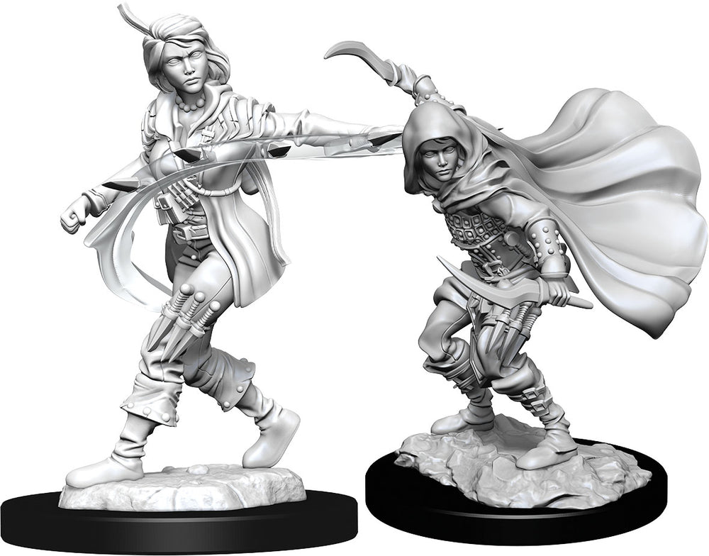 W14: Female Human Rogue
