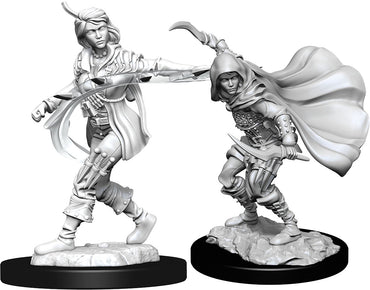 W14: Female Human Rogue