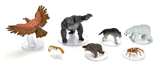 D&D: Wildshape & Polymorph 2