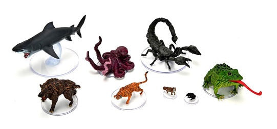 D&D: Wildshape & Polymorph 1
