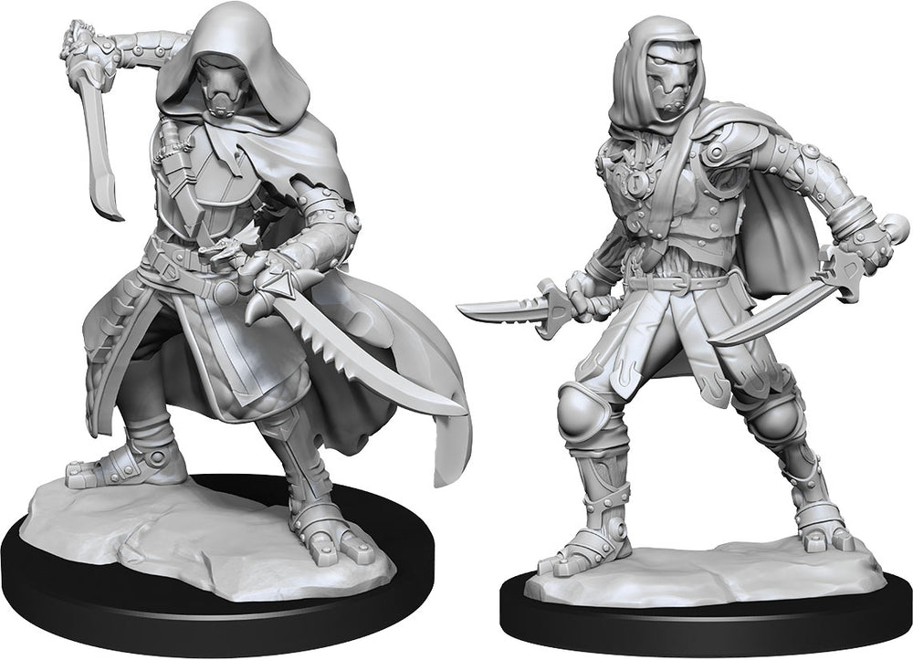 W14: Warforged Rogue