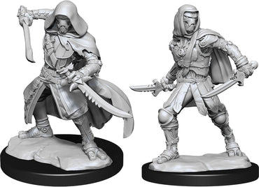 W14: Warforged Rogue