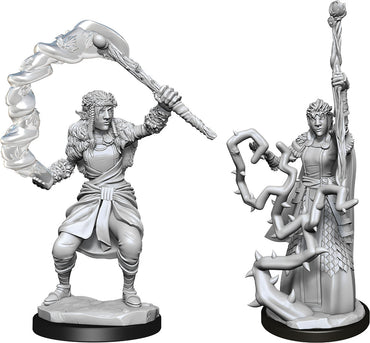 W13 Firbolg Druid Female