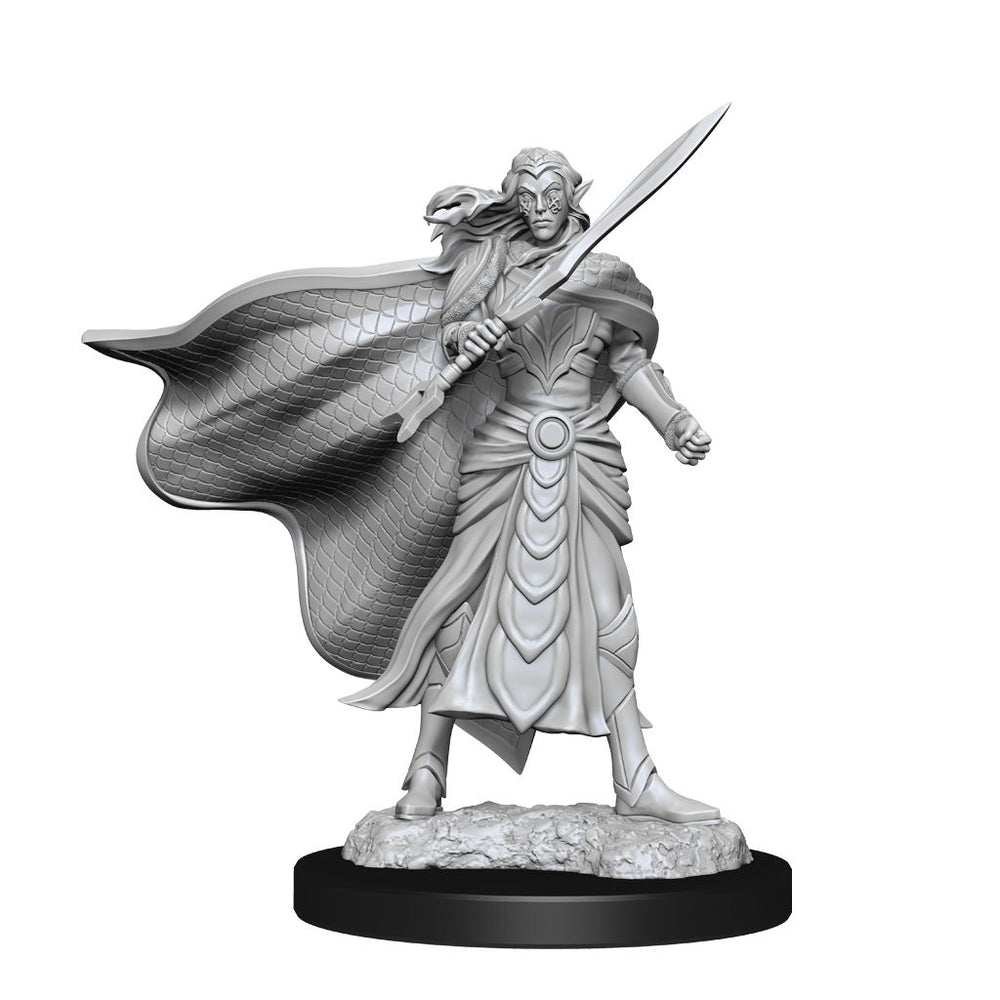 D&D: Magic the Gathering - Elf Fighter & Elf Cleric