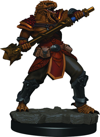 D&D: Dragonborn Male Fighter