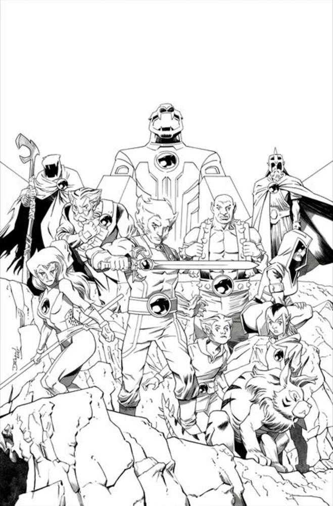Thundercats #25 Cover M Inc 1:7 Declan Shalvey Line Art Full Art Variant