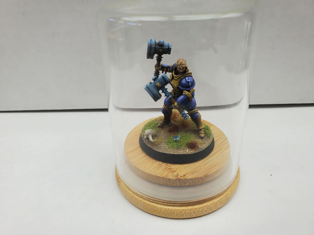 Hand Painted: Stormcast Eternal (Hammer Time!) (5)