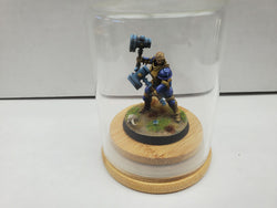 Hand Painted: Stormcast Eternal (Hammer Time!) (5)
