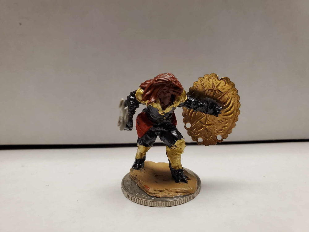 Dragonborn Warrior With Shield