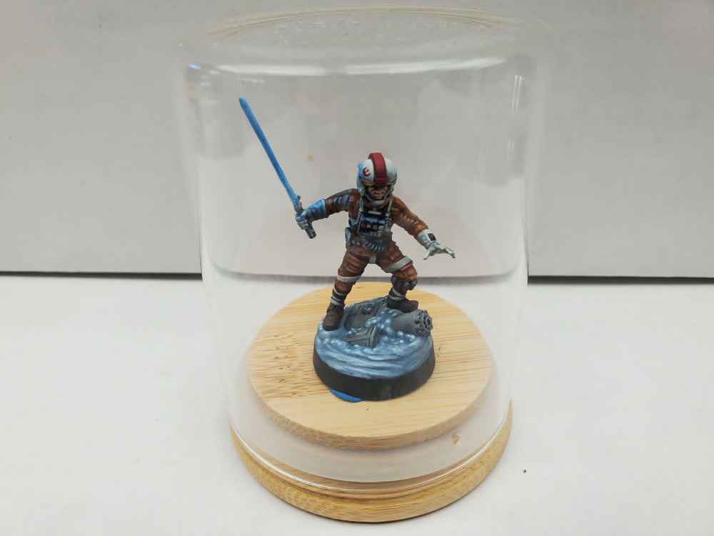 Hand Painted: Luke Skywalker - Collectors Edition (Legions) (6)