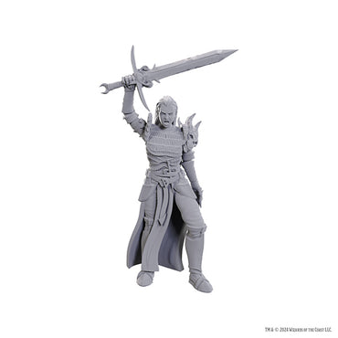D&D Nolzur's Marvelous Miniatures: Unpainted Minis- Wave 25- Blackguard
