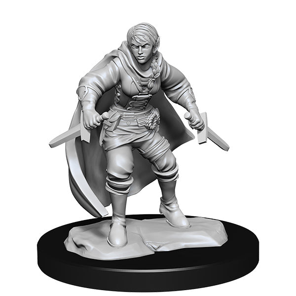 W14: Female Half-Elf Rogue