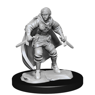 W14: Female Half-Elf Rogue
