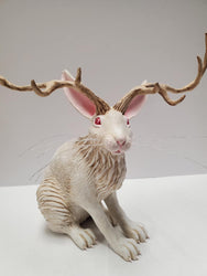 Albino Jack-A-Lope
