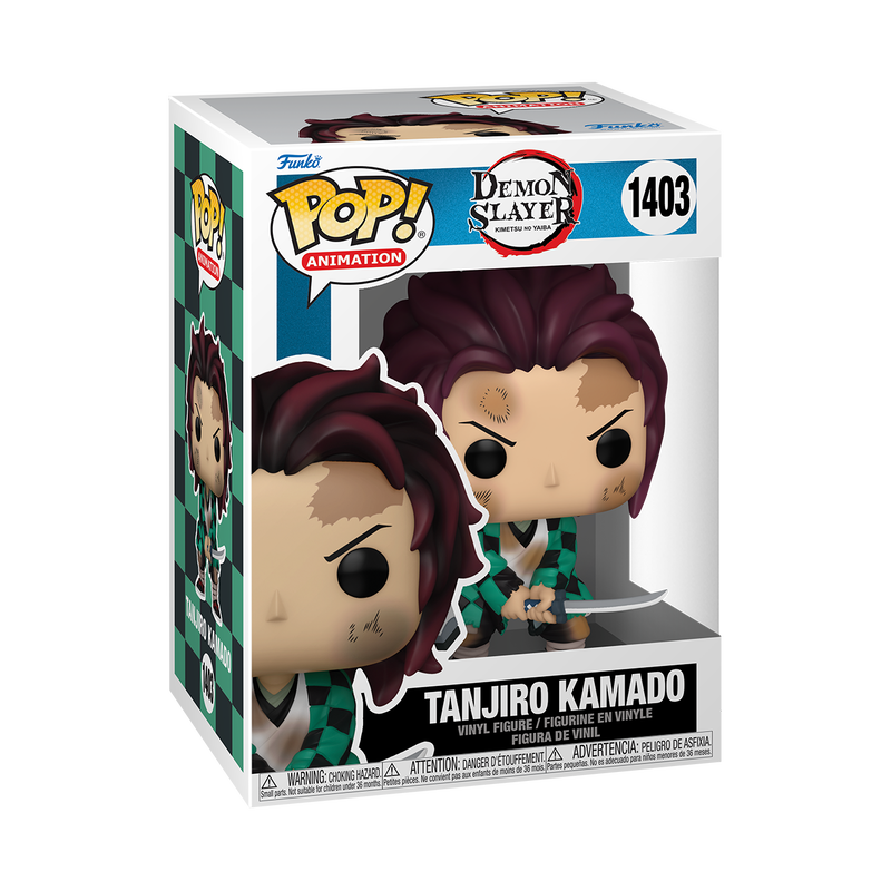 POP: Demon Hunter POP - Tanjiro Kamado Training