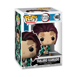 POP: Demon Hunter POP - Tanjiro Kamado Training
