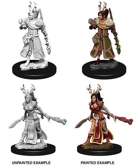 D&D Nolzur's Marvelous Miniatures: Human Druid