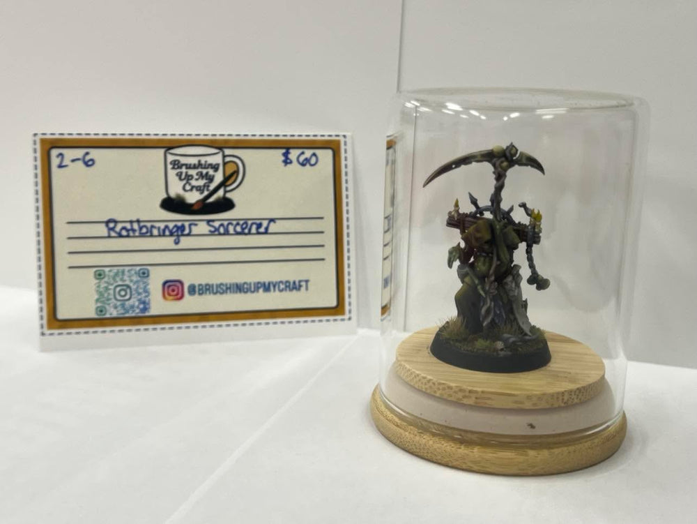 Hand Painted: Rotbringer Sorcerer