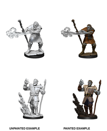 D&D Nolzur's Marvelous Miniatures: Firbolg Druid