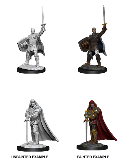 D&D Nolzur's Marvelous Miniatures: Human Paladin