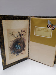 Mushroom Fairy House Journal