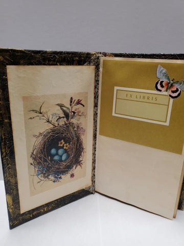 Mushroom Fairy House Journal