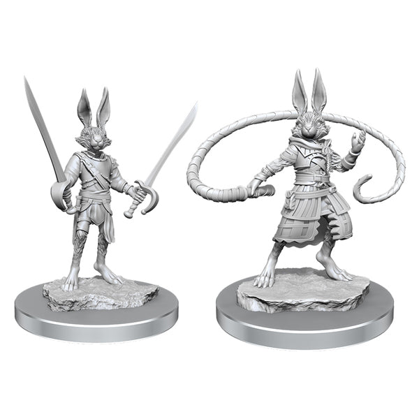 D&D: Harengon Rogues