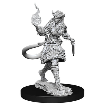 D&D W15: Tiefling Sor FE