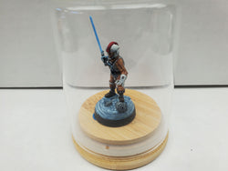 Hand Painted: Luke Skywalker - Collectors Edition (Legions) (6)
