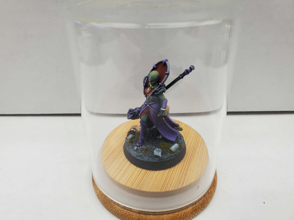 Hand Painted: Fisc Magus (Hot to trot) (12)