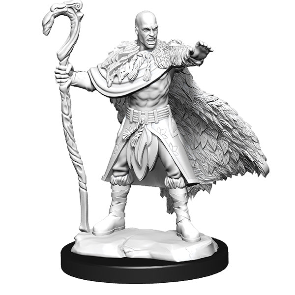 D&D: Male Human Druid