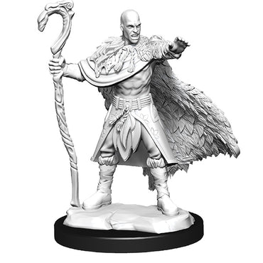 D&D: Male Human Druid