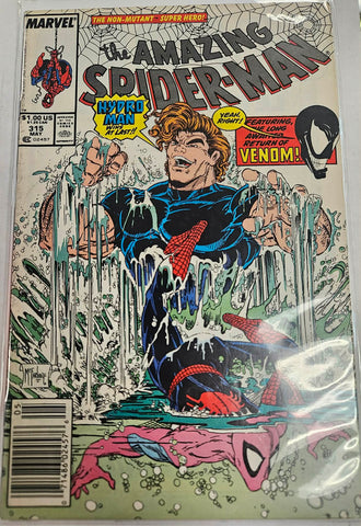 The Amazing Spider-Man #315 [Vol 1]