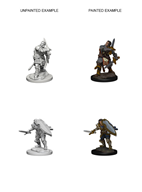 D&D Unpainted Minis - Male Human Paladin